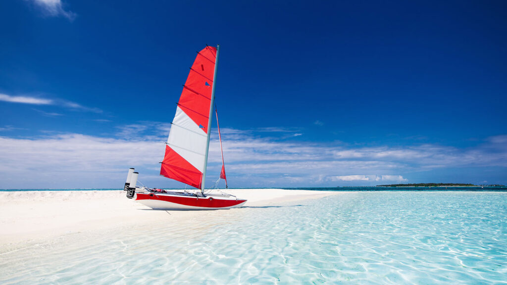 Catamaran Sailing