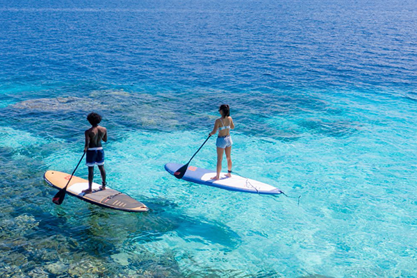 Stand Up Paddling