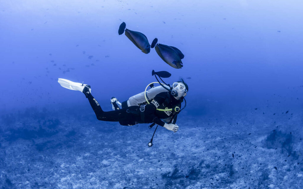Diving